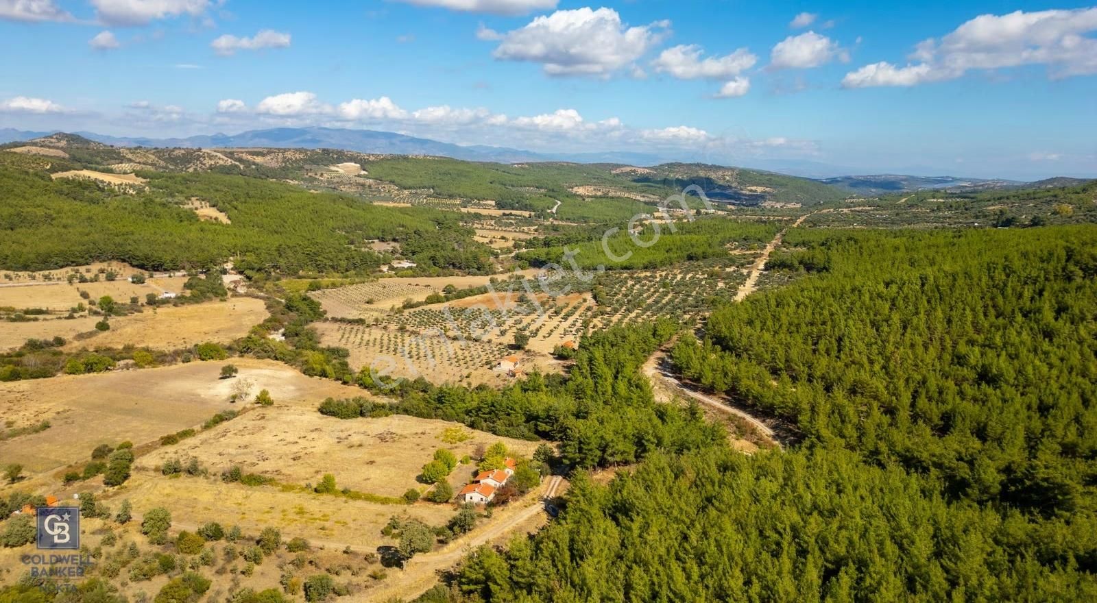 İzmir Bergama Zeytindağ'da Satılık 2 Adet Dağ Evi Ve Tarla
