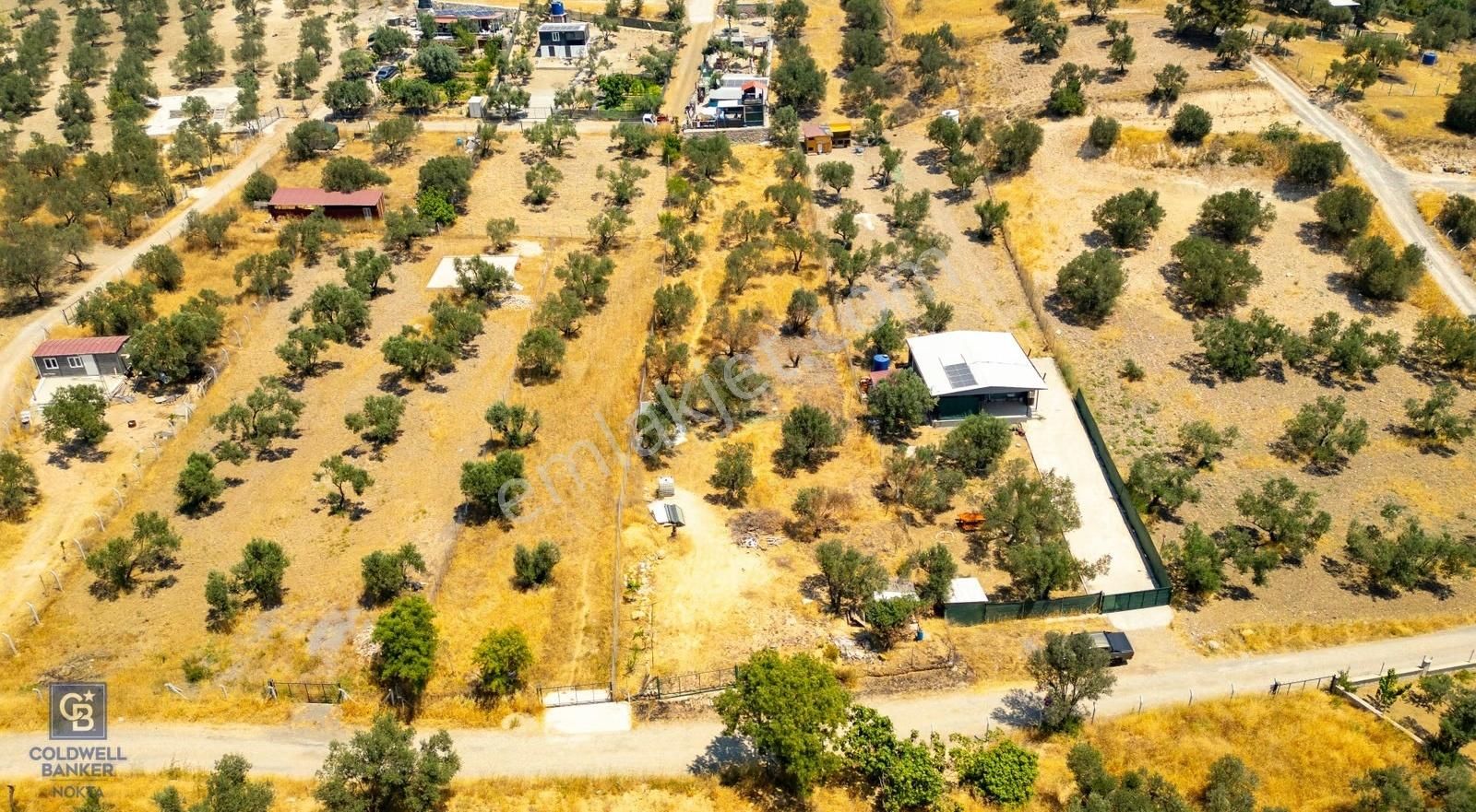 Foça Ilıpınar'da Satılık Müstakil Tapulu Zeytinli Tarla - Görsel 31