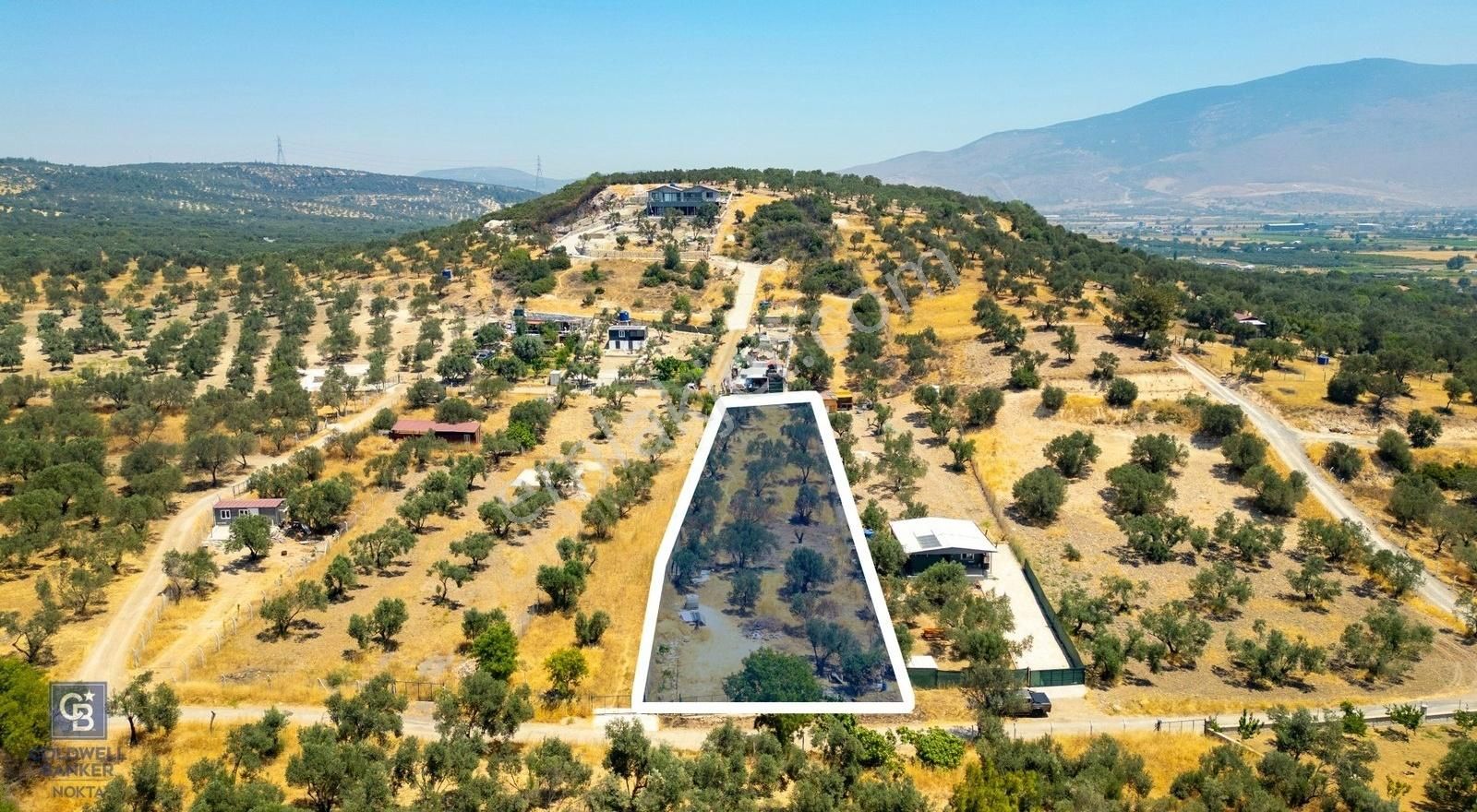 Foça Ilıpınar'da Satılık Müstakil Tapulu Zeytinli Tarla - Görsel 6