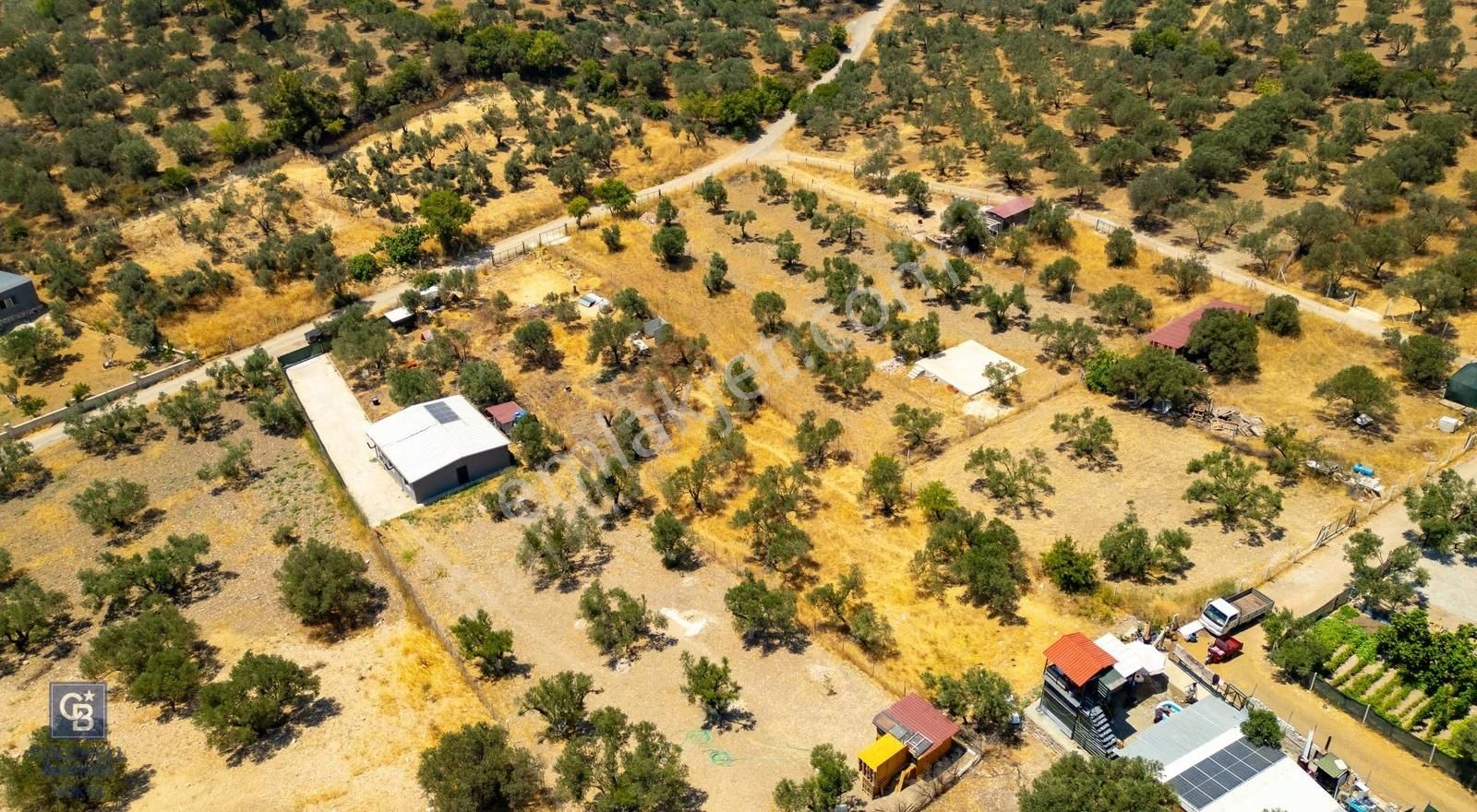 Foça Ilıpınar'da Satılık Müstakil Tapulu Zeytinli Tarla - Görsel 24