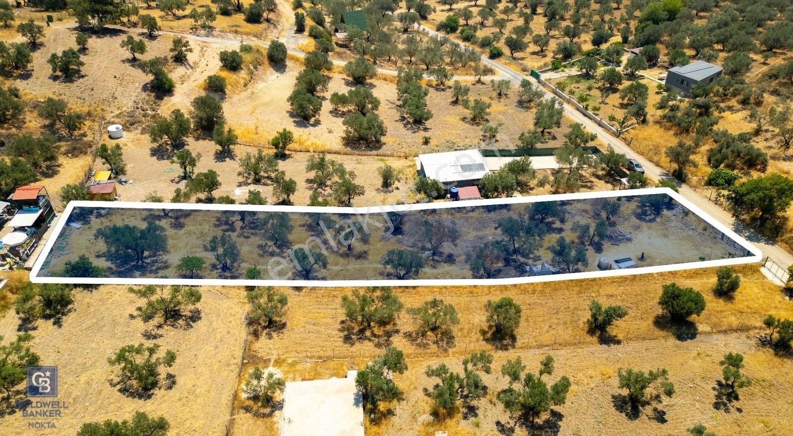 Foça Ilıpınar'da Satılık Müstakil Tapulu Zeytinli Tarla - Görsel 21