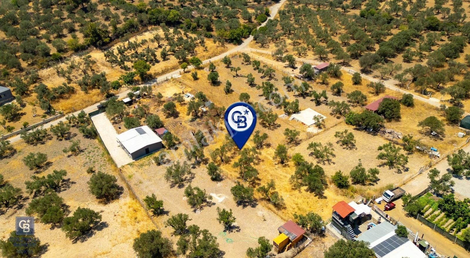 Foça Ilıpınar'da Satılık Müstakil Tapulu Zeytinli Tarla - Görsel 18