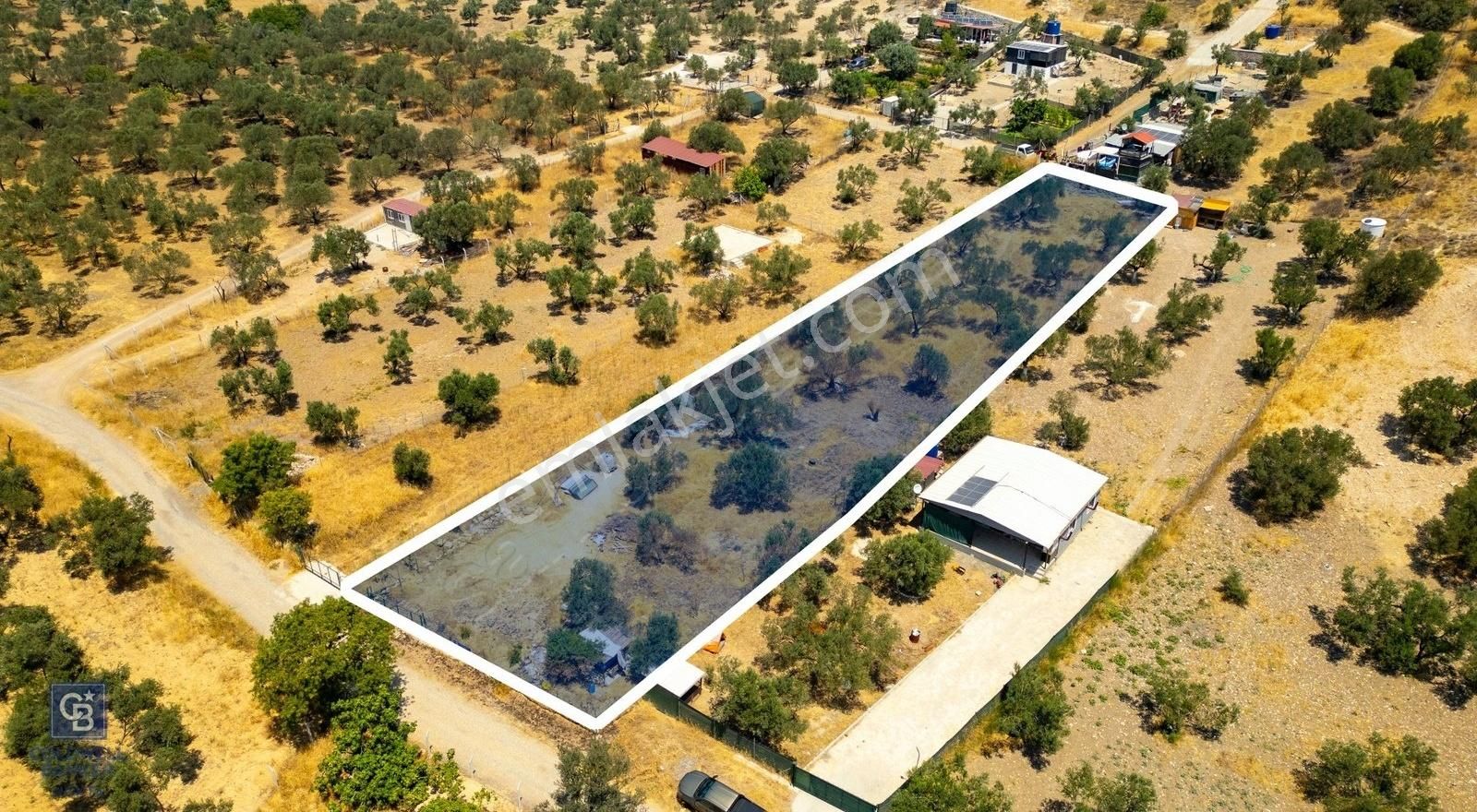 Foça Ilıpınar'da Satılık Müstakil Tapulu Zeytinli Tarla - Görsel 17