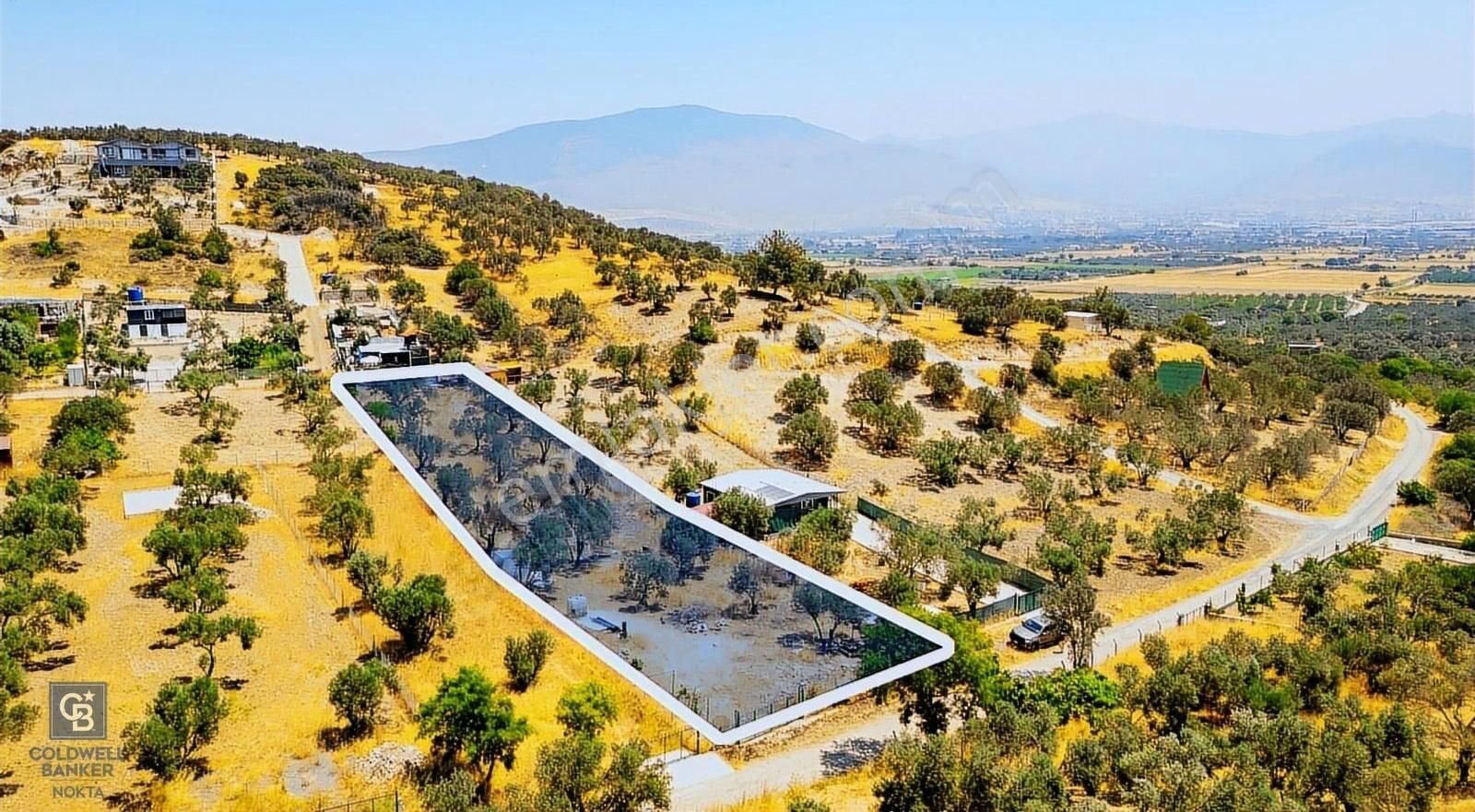 Foça Ilıpınar'da Satılık Müstakil Tapulu Zeytinli Tarla - Görsel 20