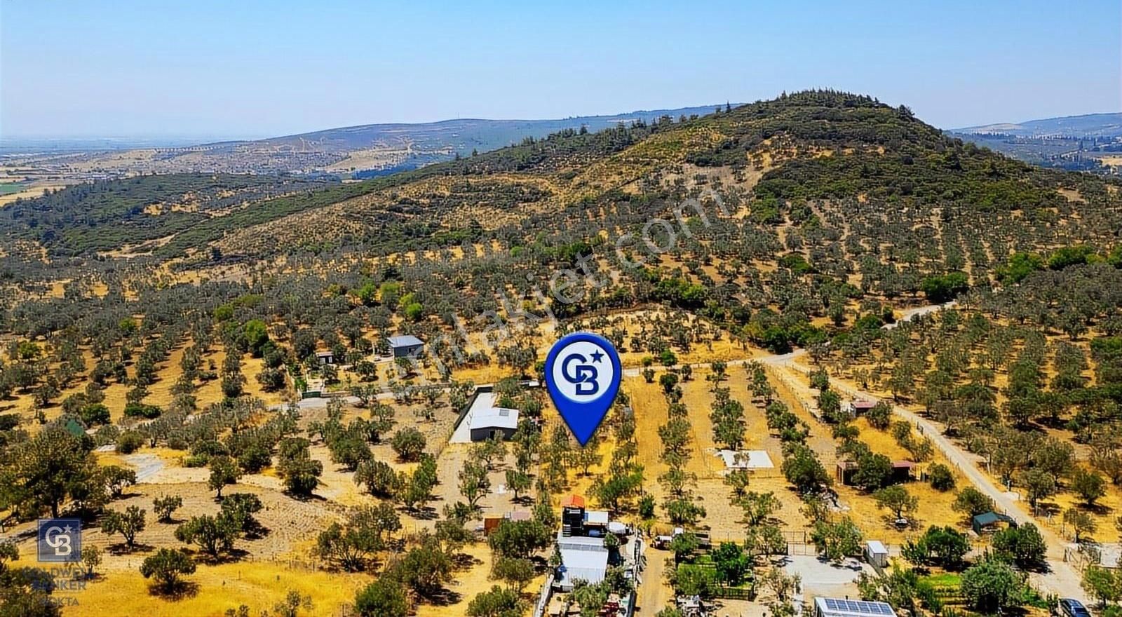 Foça Ilıpınar'da Satılık Müstakil Tapulu Zeytinli Tarla - Görsel 34