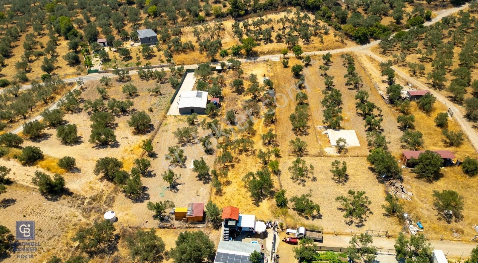 Foça Ilıpınar'da Satılık Müstakil Tapulu Zeytinli Tarla - Görsel 33