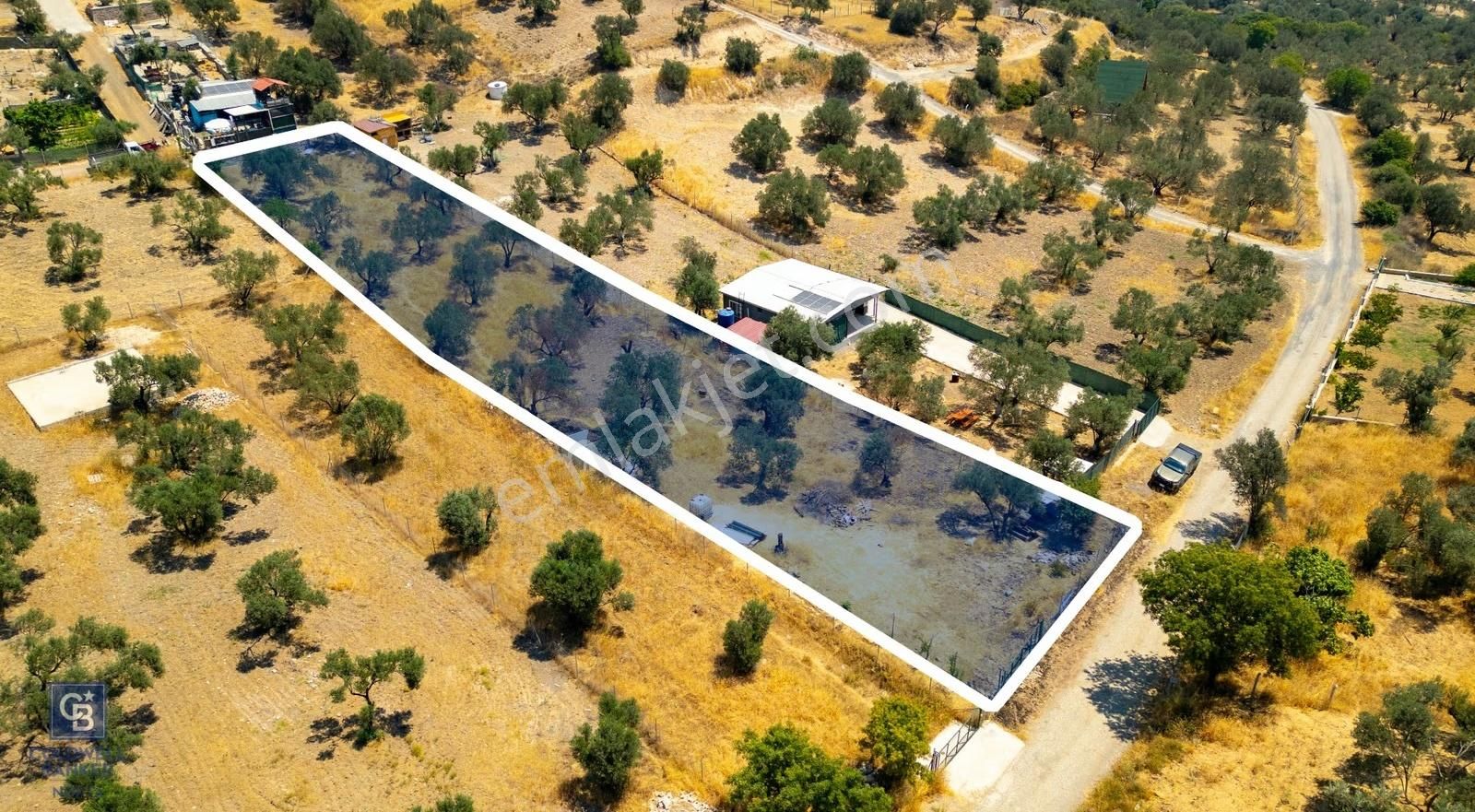 Foça Ilıpınar'da Satılık Müstakil Tapulu Zeytinli Tarla - Görsel 3