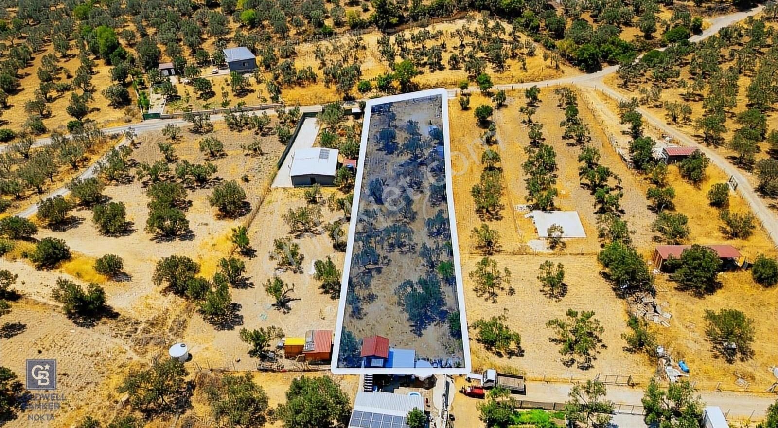 Foça Ilıpınar'da Satılık Müstakil Tapulu Zeytinli Tarla - Görsel 10