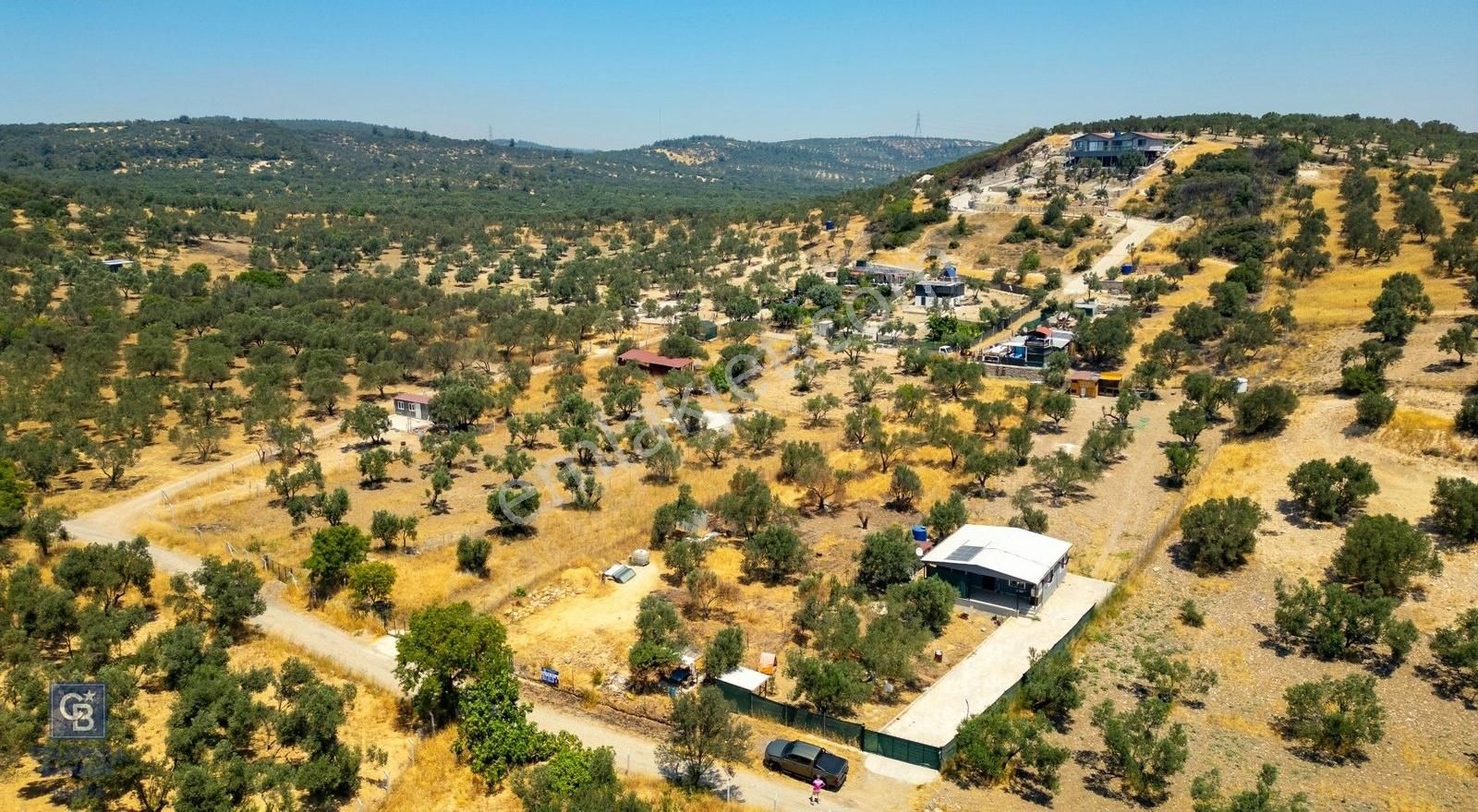 Foça Ilıpınar'da Satılık Müstakil Tapulu Zeytinli Tarla - Görsel 15