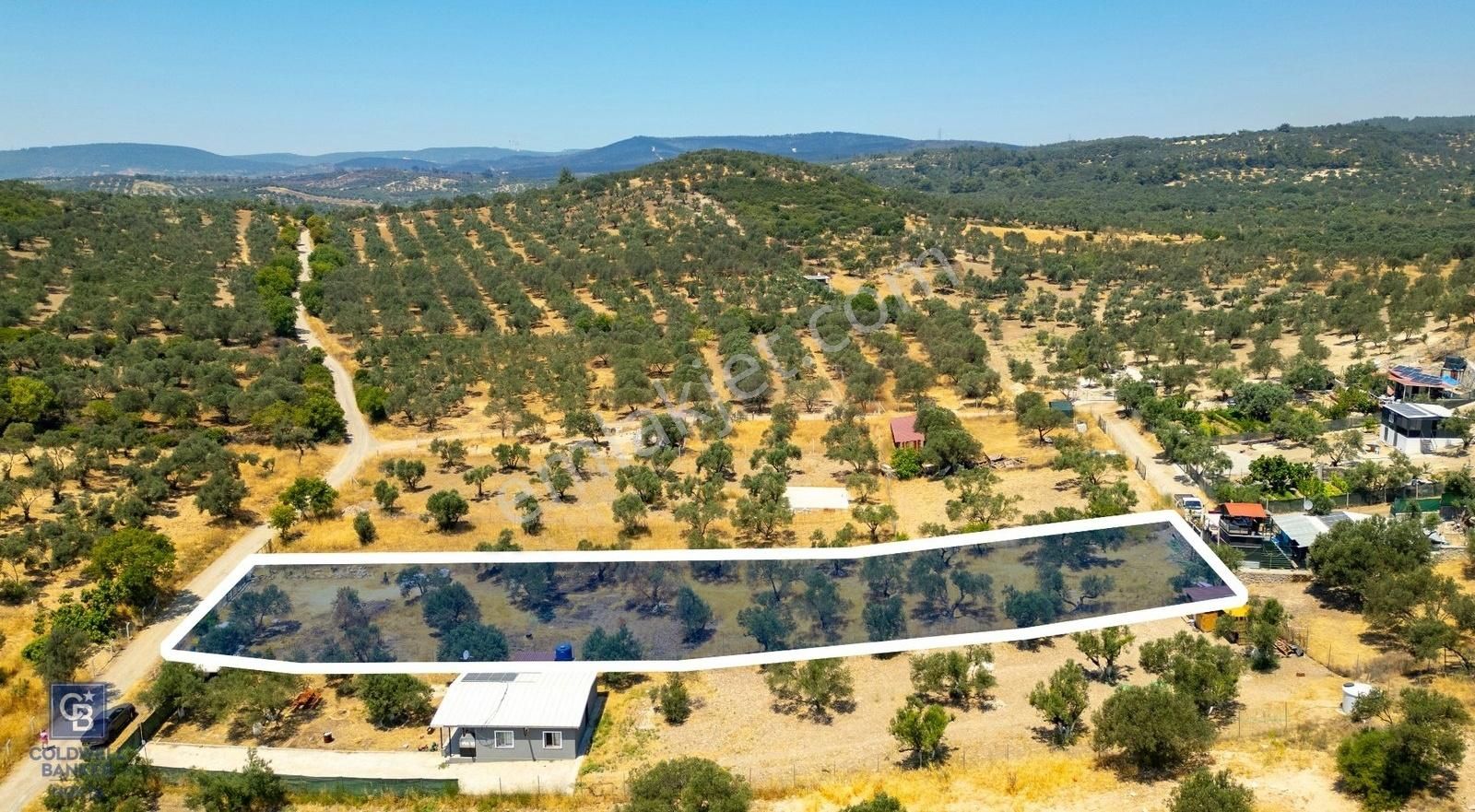 Foça Ilıpınar'da Satılık Müstakil Tapulu Zeytinli Tarla