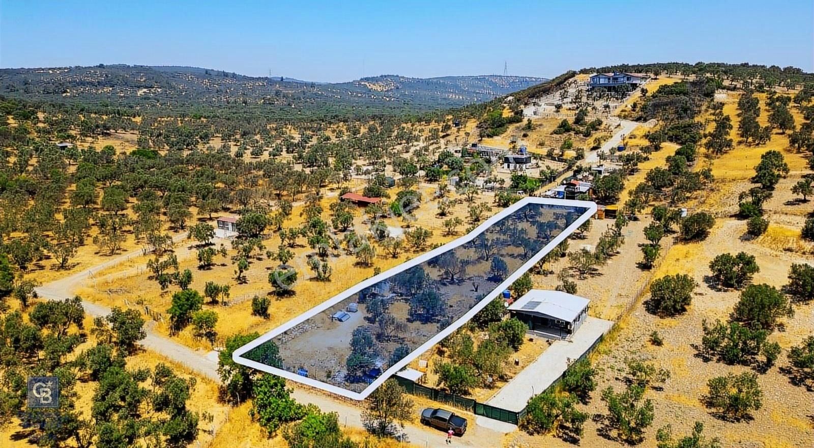 Foça Ilıpınar'da Satılık Müstakil Tapulu Zeytinli Tarla - Görsel 5