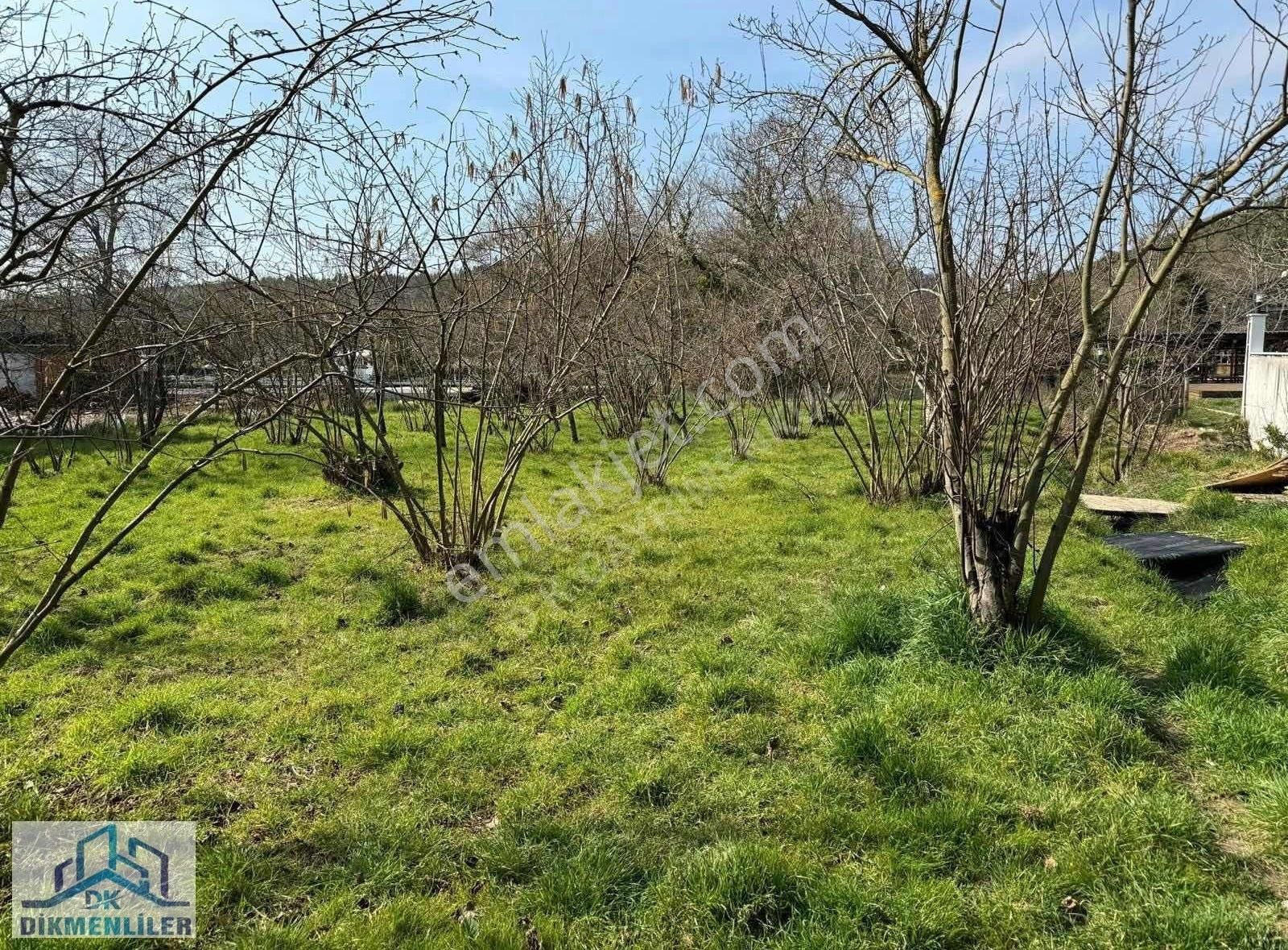 Dk Gyrm'den Ağva Nehir Kenarı Turizm İmarlı Otel Bölgesi 1370 M2 - Görsel 8