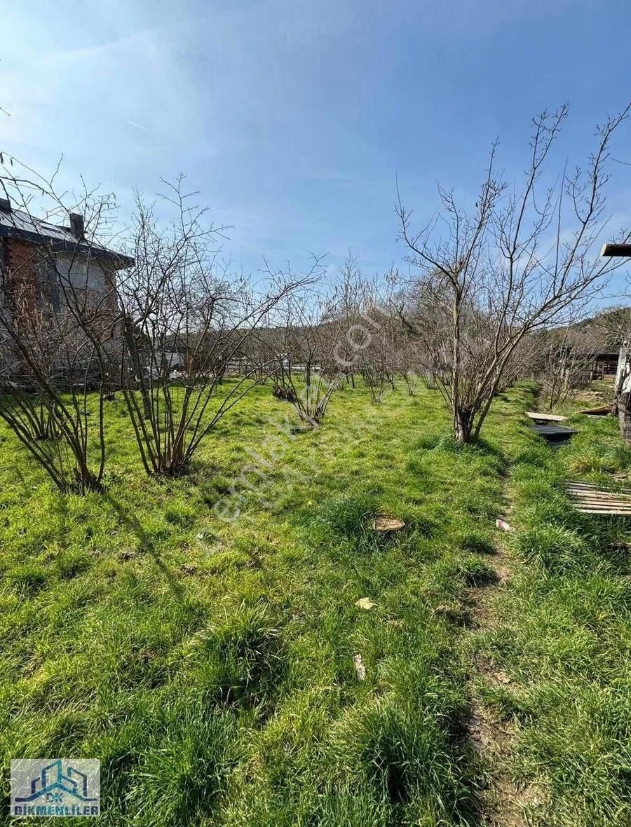 Dk Gyrm'den Ağva Nehir Kenarı Turizm İmarlı Otel Bölgesi 1370 M2 - Görsel 23