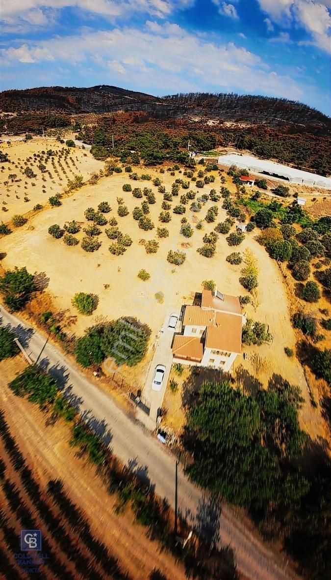 Foça Ilıpınar'da Satılık Müstakil Taş Ev Ve Zeytinli Tarla - Görsel 5