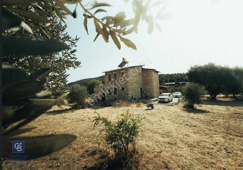 Foça Ilıpınar'da Satılık Müstakil Taş Ev Ve Zeytinli Tarla - Görsel 29