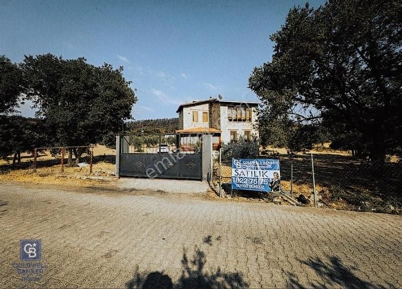 Foça Ilıpınar'da Satılık Müstakil Taş Ev Ve Zeytinli Tarla - Görsel 2