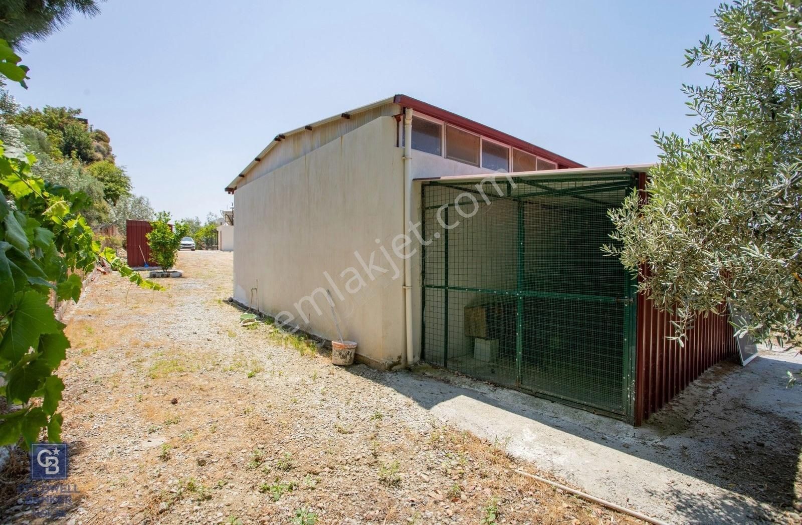 Aydın Söke De 45 Dönüm Konut Ve Müştemilatlı Zeytinlik - Görsel 27
