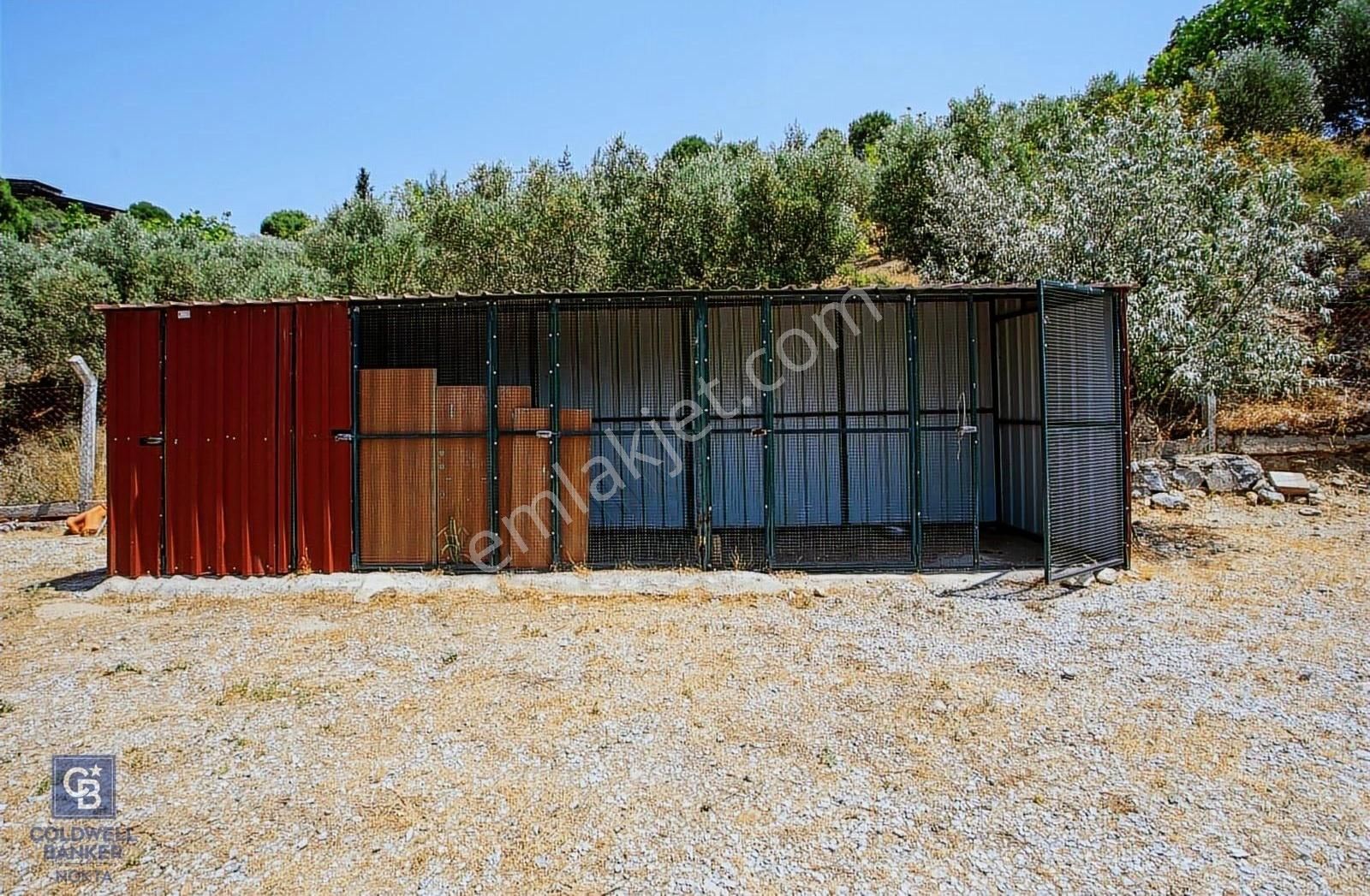 Aydın Söke De 45 Dönüm Konut Ve Müştemilatlı Zeytinlik - Görsel 16