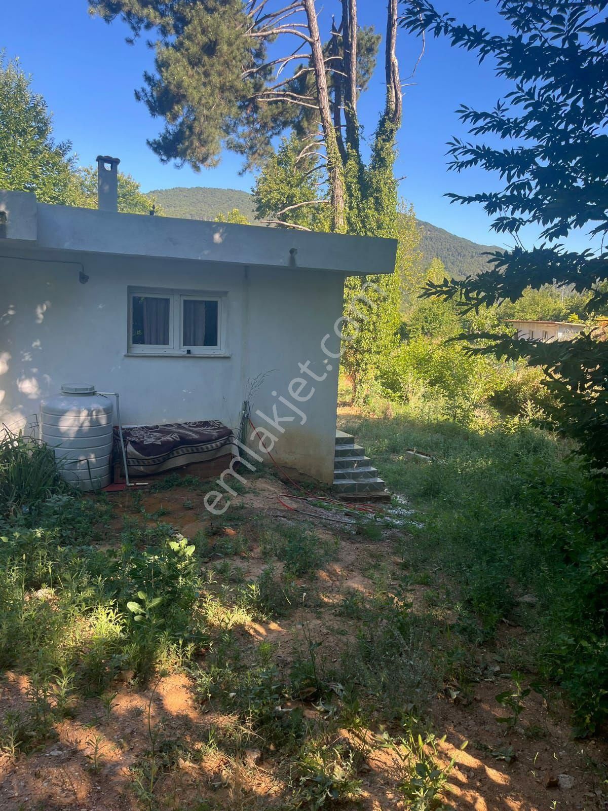 Bayındır Gayrimenkul - Bayındır Alankıyı Mah Satılık Bahçe - Görsel 4