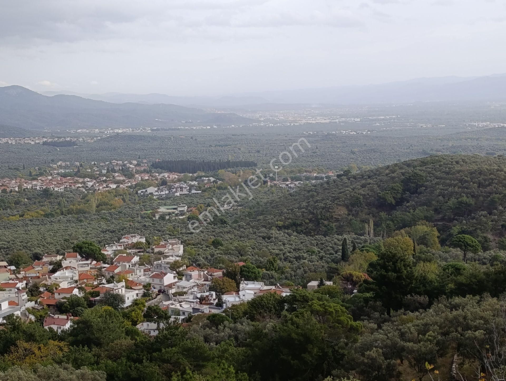 Güre'de Deniz Gören Zeytinlik - Görsel 31