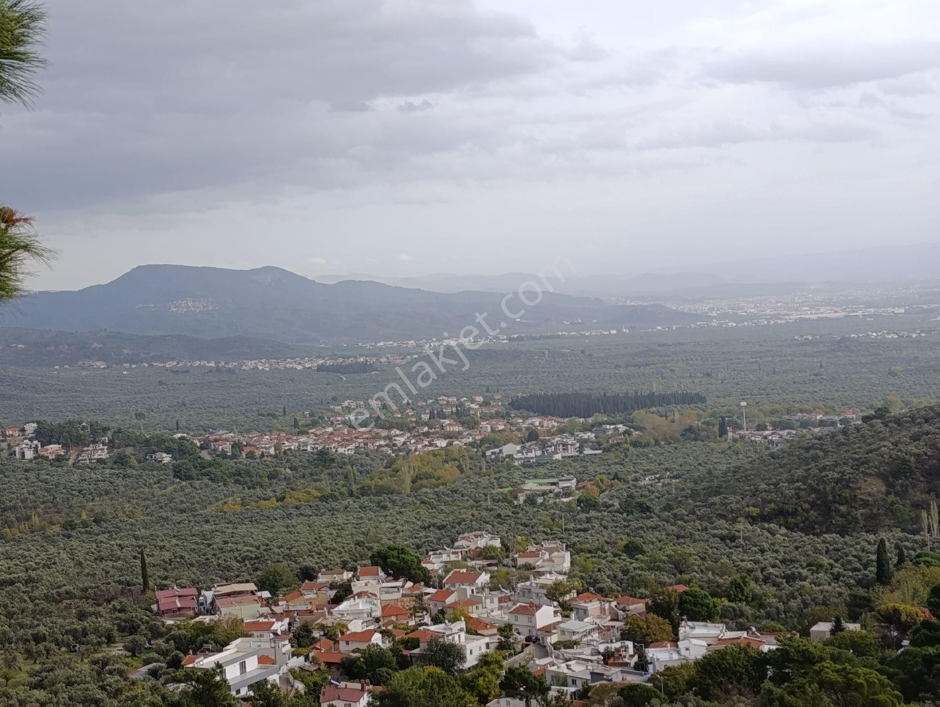 Güre'de Deniz Gören Zeytinlik - Görsel 28