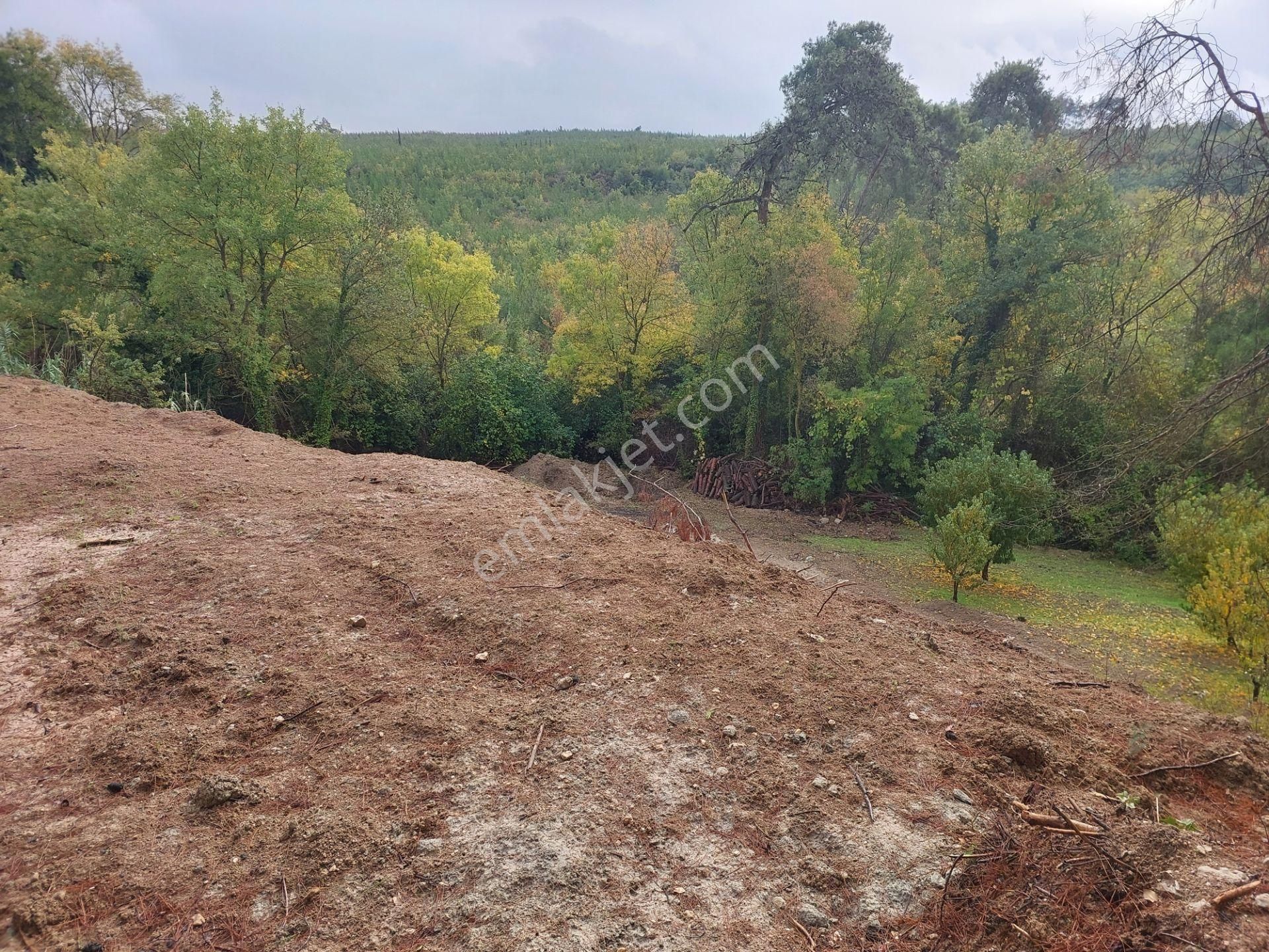 Bursa Çağlayanda Komisyonsuz Satılık 1724m2 Hobi Bahçesi - Görsel 16