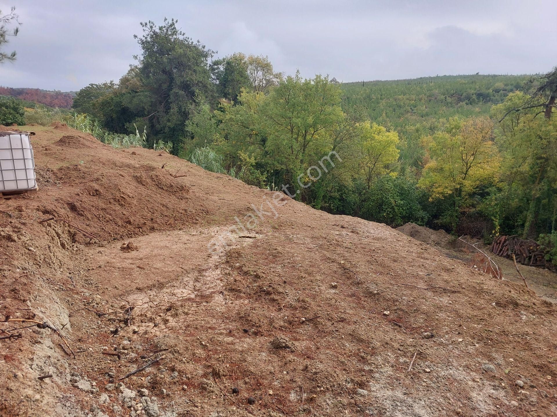 Bursa Çağlayanda Komisyonsuz Satılık 1724m2 Hobi Bahçesi - Görsel 15