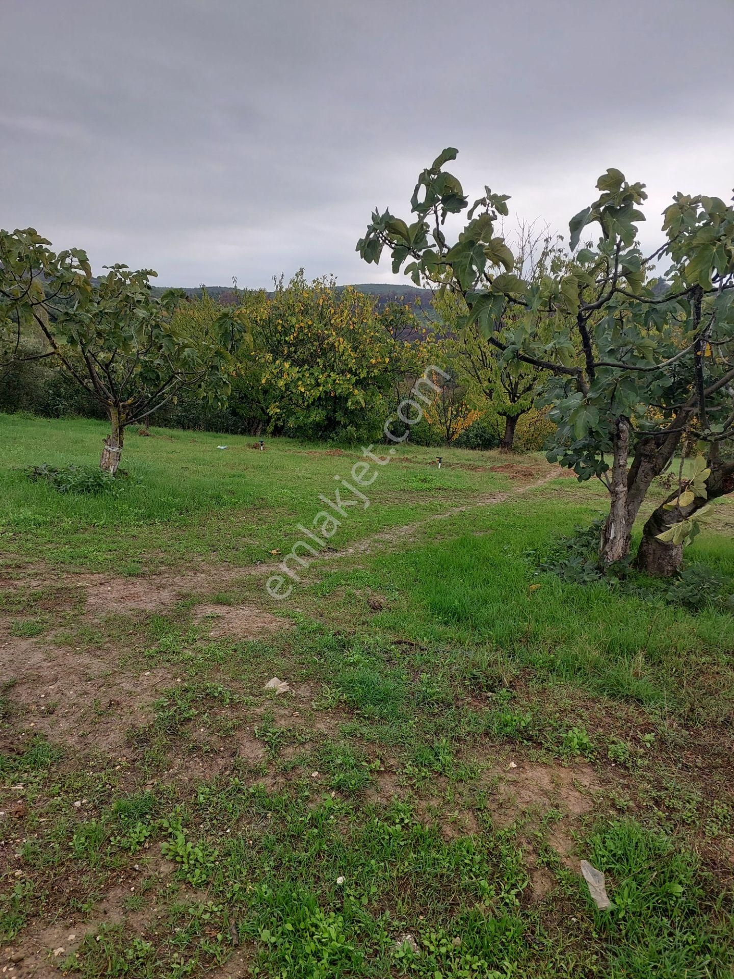 Bursa Çağlayanda Komisyonsuz Satılık 1724m2 Hobi Bahçesi - Görsel 27