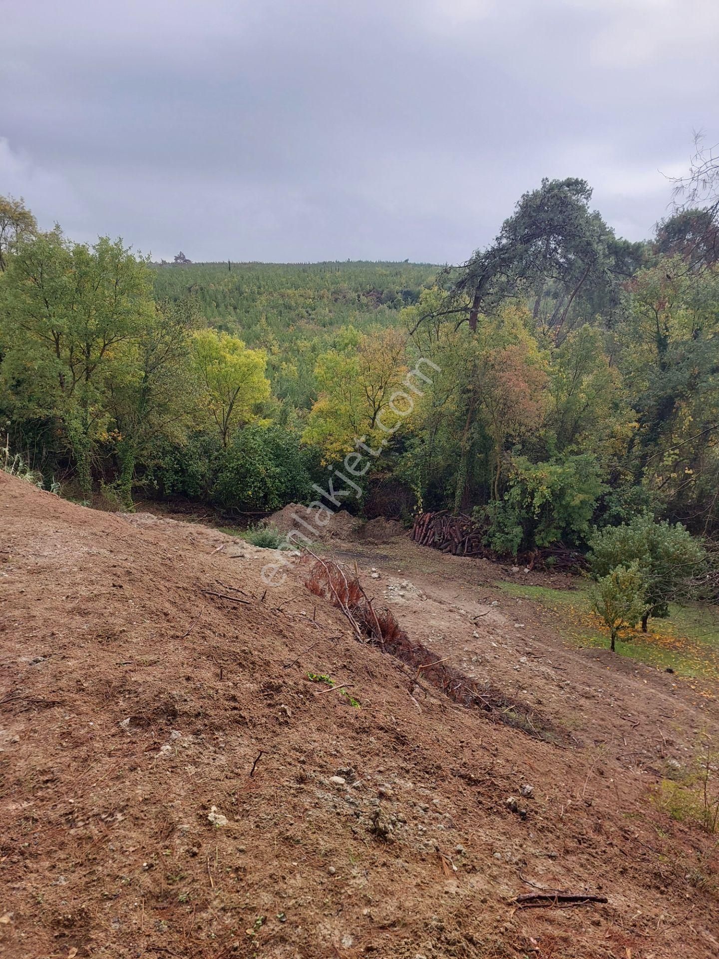 Bursa Çağlayanda Komisyonsuz Satılık 1724m2 Hobi Bahçesi - Görsel 19