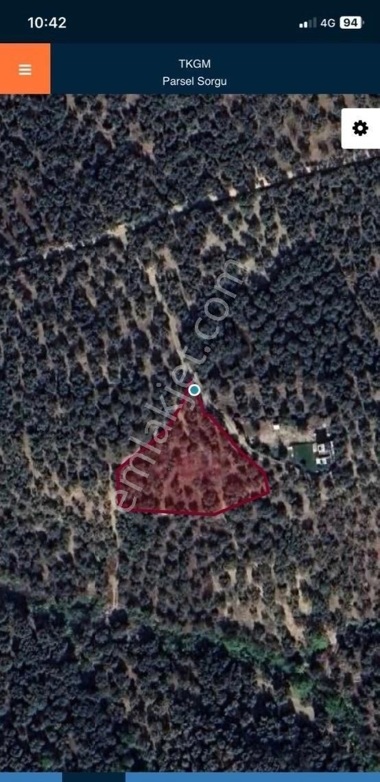 Bandırma Edincik Mah Deniz Manzaralı Resmi Kadastro Yoluna Cephe Satılık Zeytinlik - Görsel 4