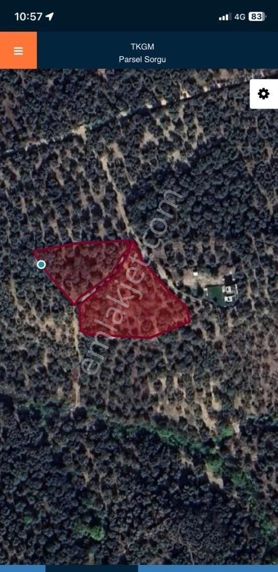 Bandırma Edincik Mah Deniz Manzaralı Resmi Kadastro Yoluna Cephe Satılık Zeytinlik - Görsel 7