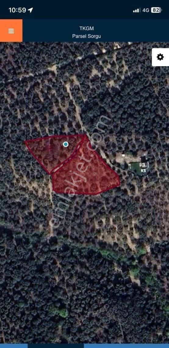 Bandırma Edincik Mah Deniz Manzaralı Resmi Kadastro Yoluna Cephe Satılık Zeytinlik - Görsel 27