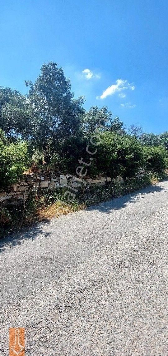 Tire Teira Emlaktan Fırsat Zeytinlik - Görsel 22