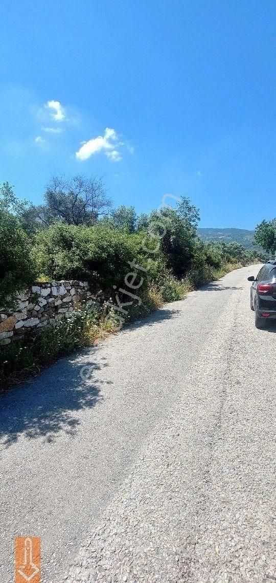 Tire Teira Emlaktan Fırsat Zeytinlik - Görsel 2