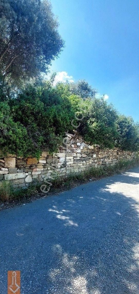 Tire Teira Emlaktan Fırsat Zeytinlik - Görsel 23