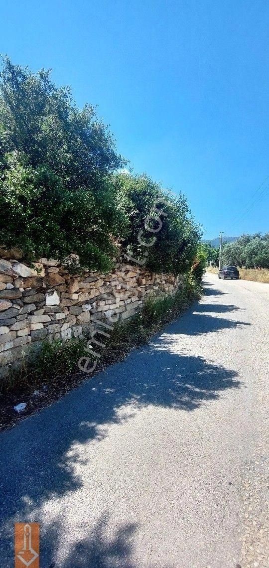 Tire Teira Emlaktan Fırsat Zeytinlik - Görsel 12