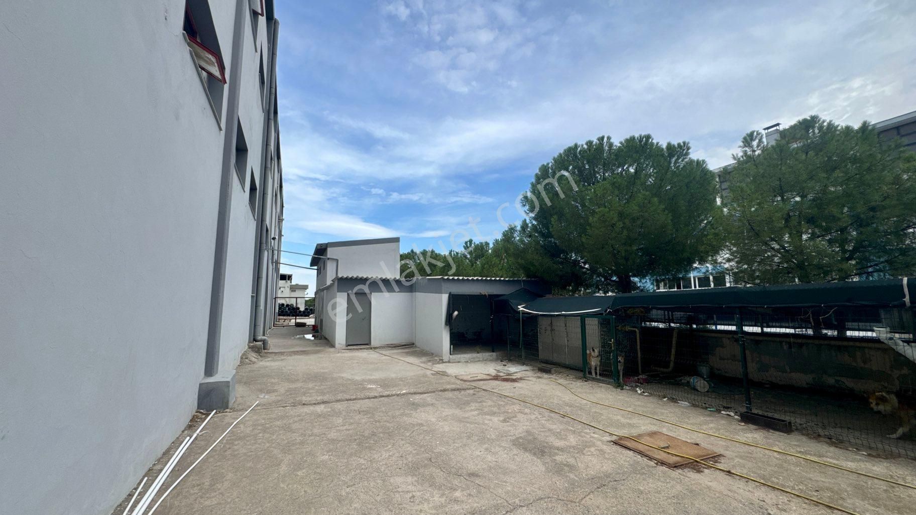 İzmir Serbest Bölgesi’nde (izbaş) Satılık Fabrika - Görsel 12