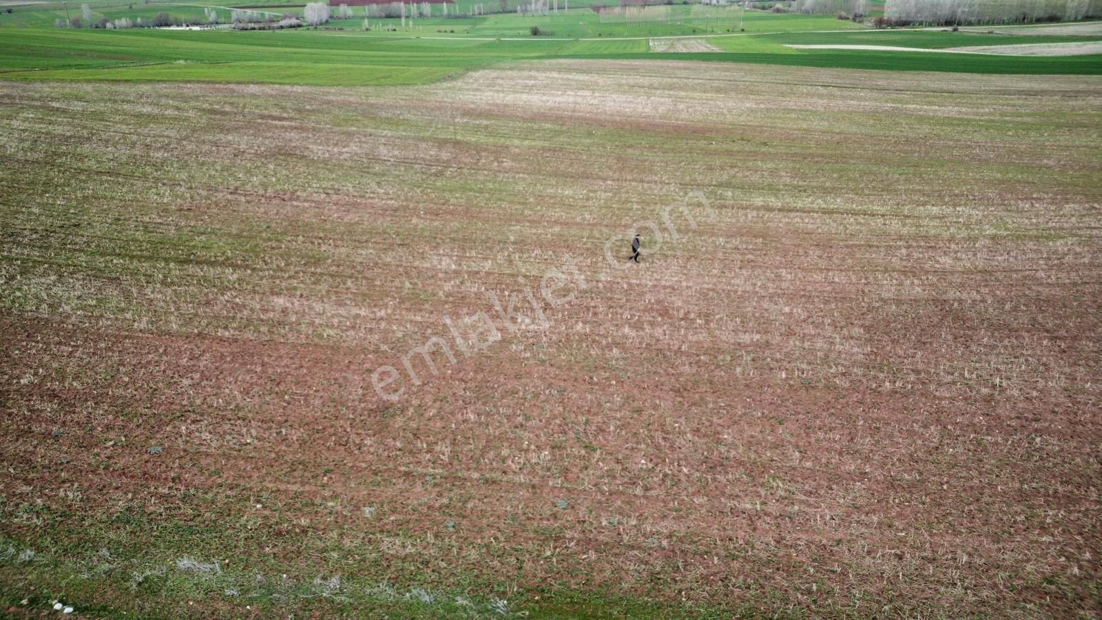 Tokat Kızık Köyünde Satılık Arazi - Görsel 7
