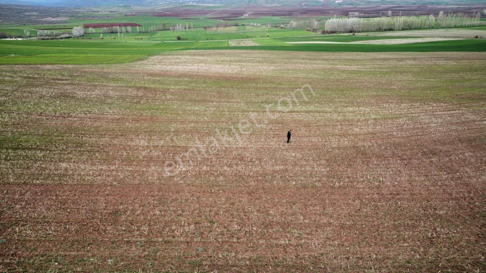 Tokat Kızık Köyünde Satılık Arazi - Görsel 3