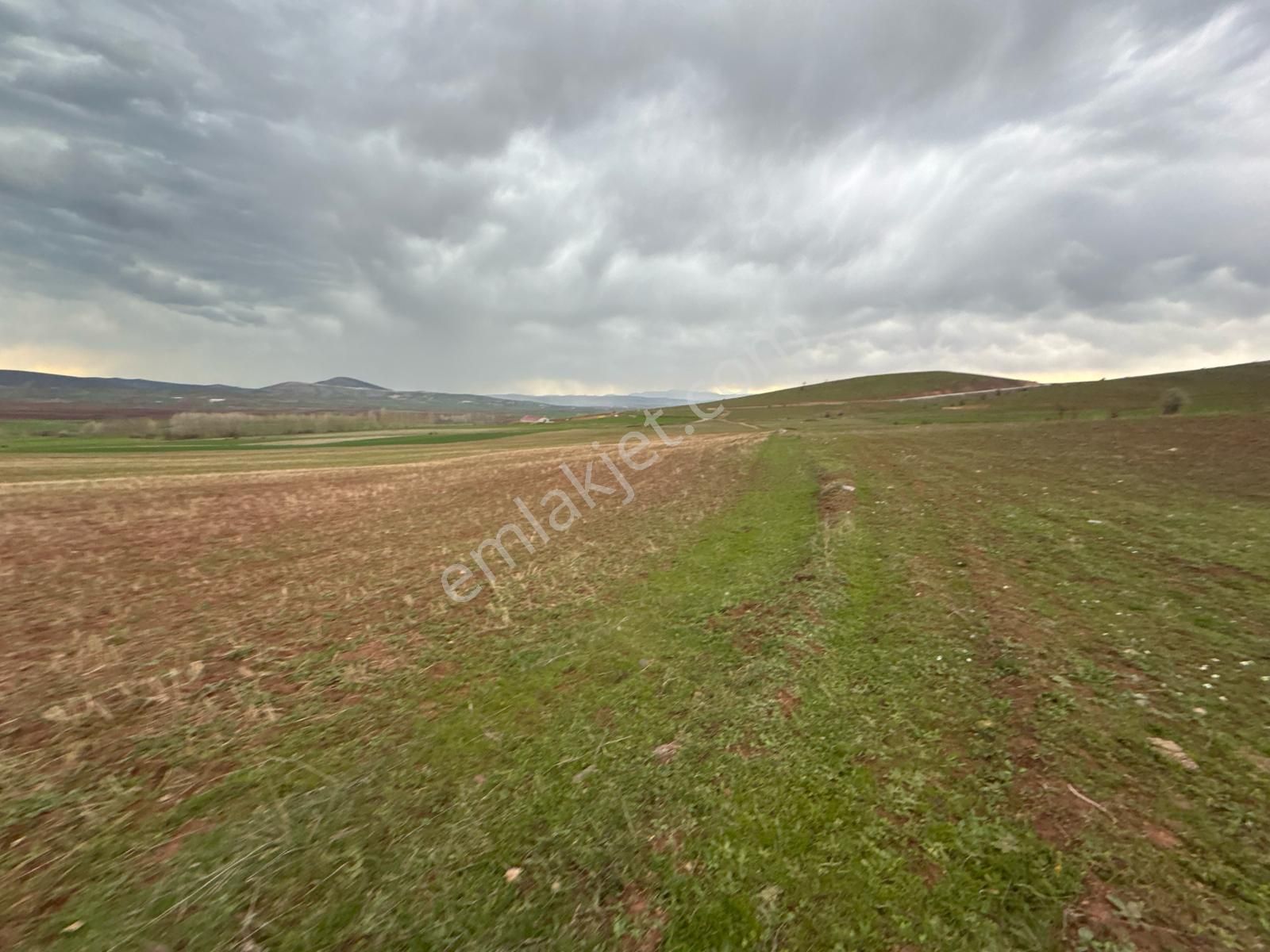 Tokat Kızık Köyünde Satılık Arazi - Görsel 23