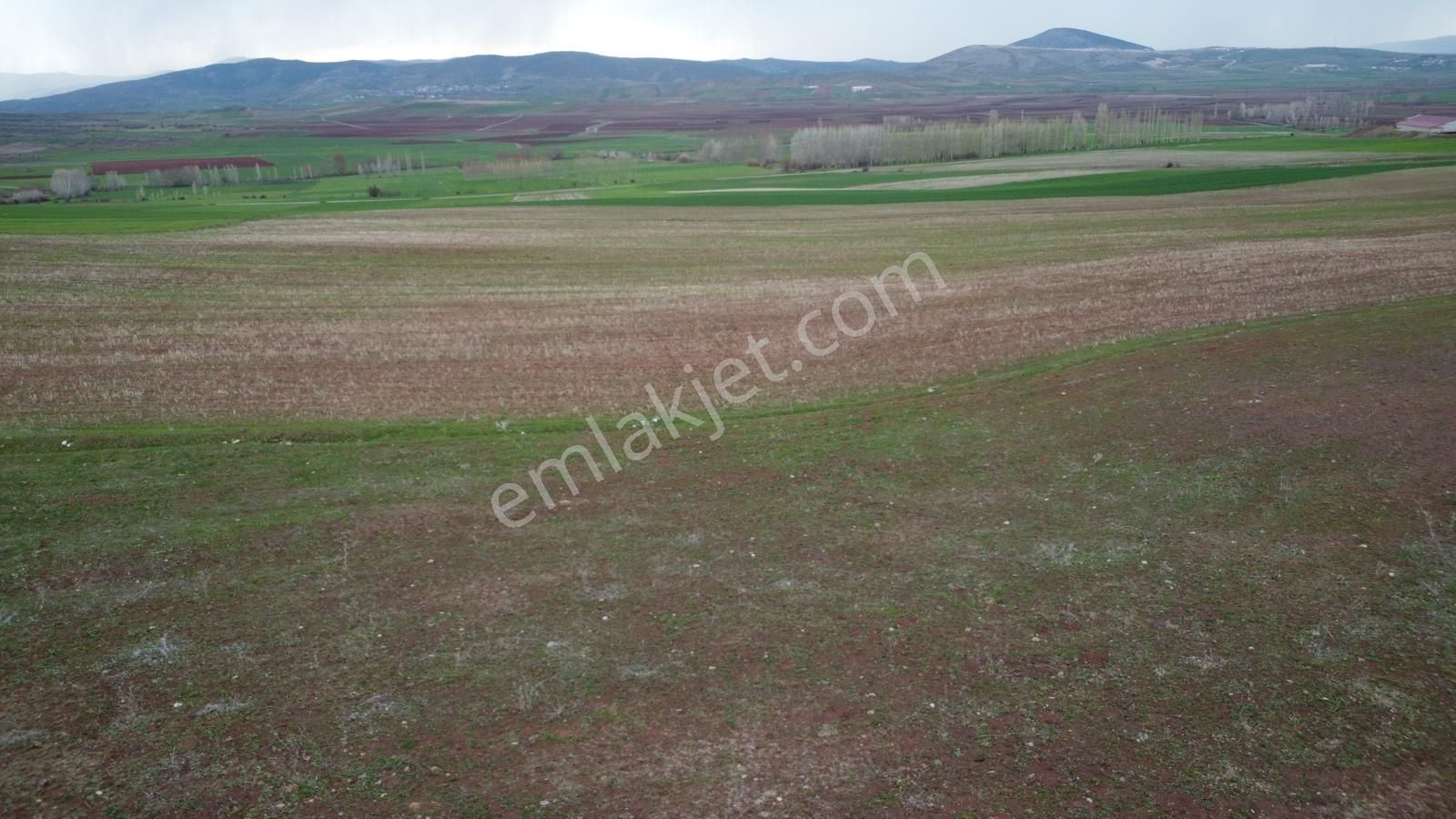 Tokat Kızık Köyünde Satılık Arazi - Görsel 24