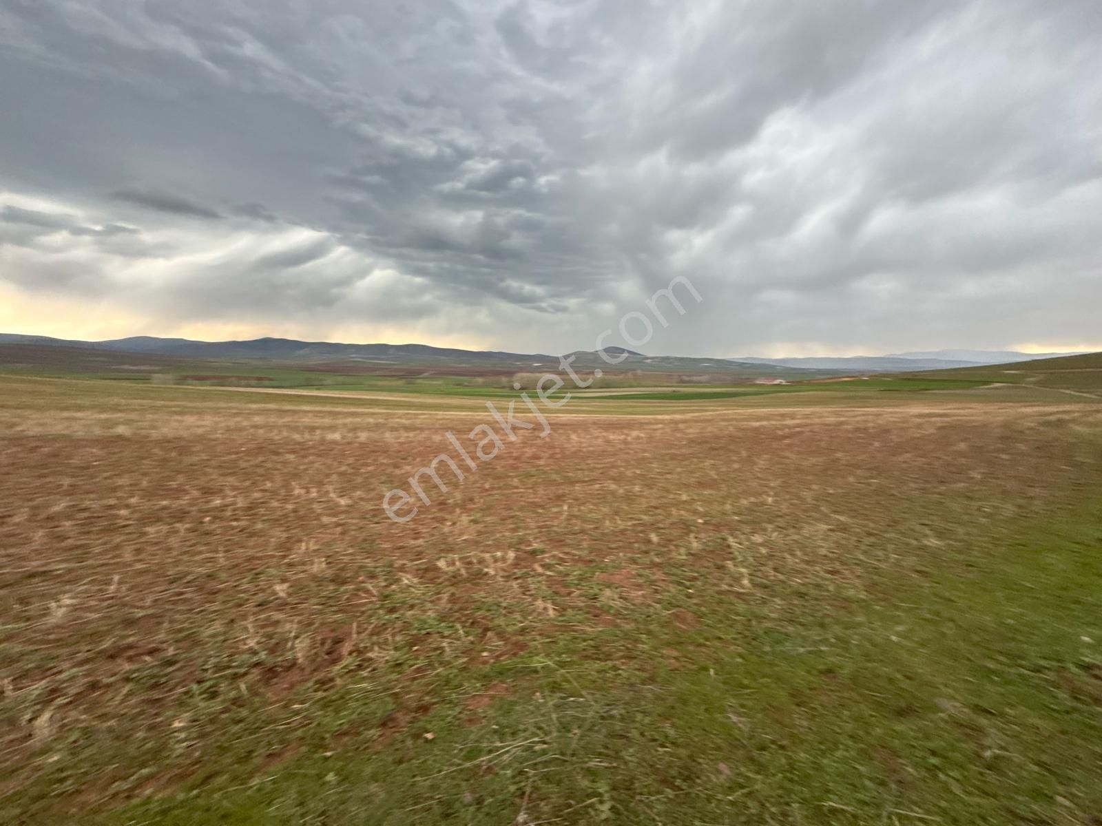 Tokat Kızık Köyünde Satılık Arazi - Görsel 32