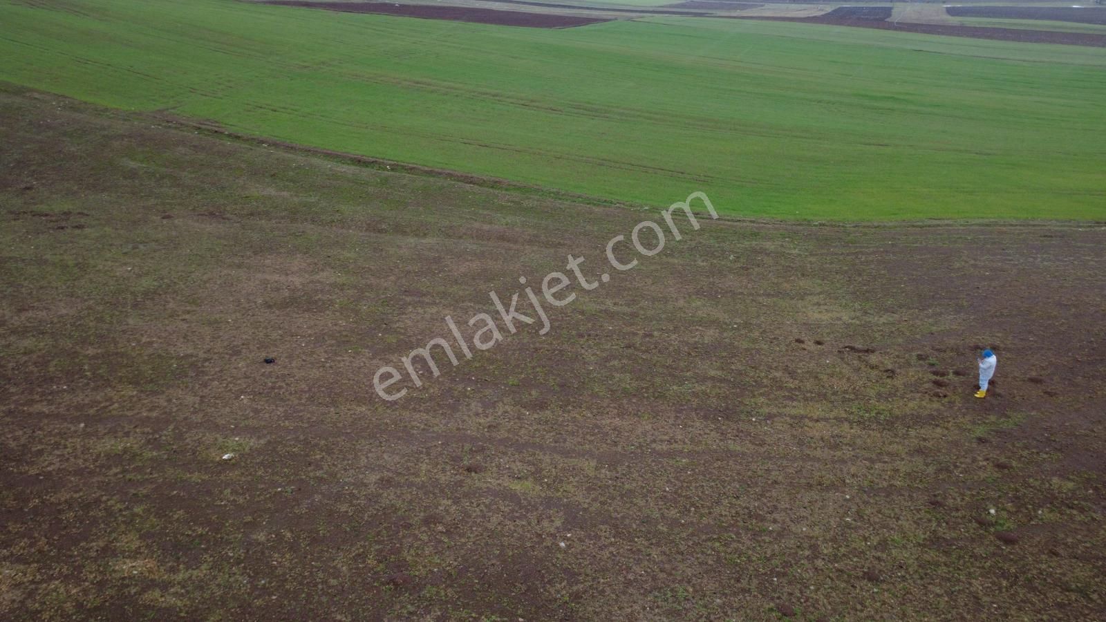 Tokat Kızık Köyünde Satılık Arazi - Görsel 25