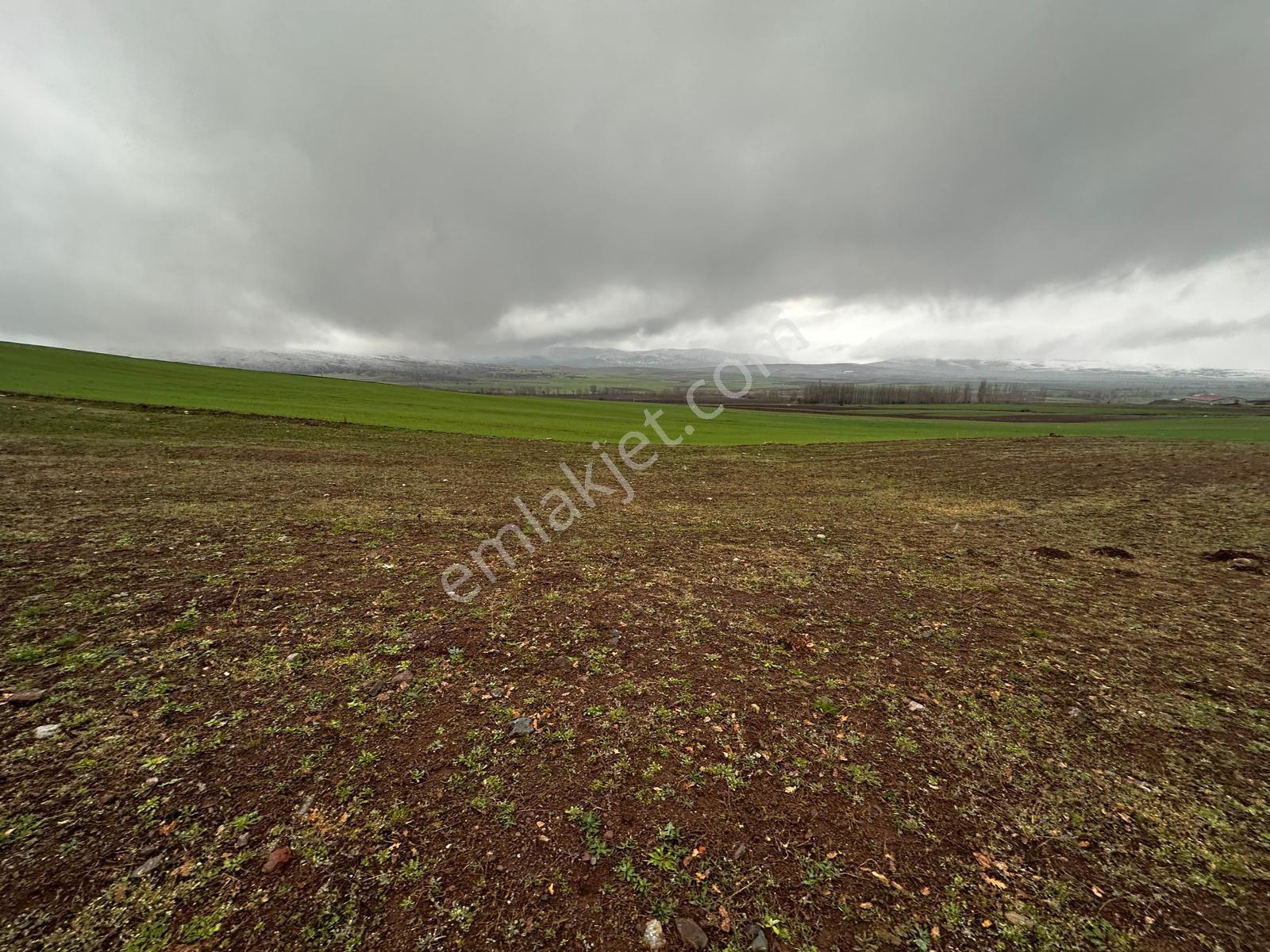 Tokat Kızık Köyünde Satılık Arazi - Görsel 2