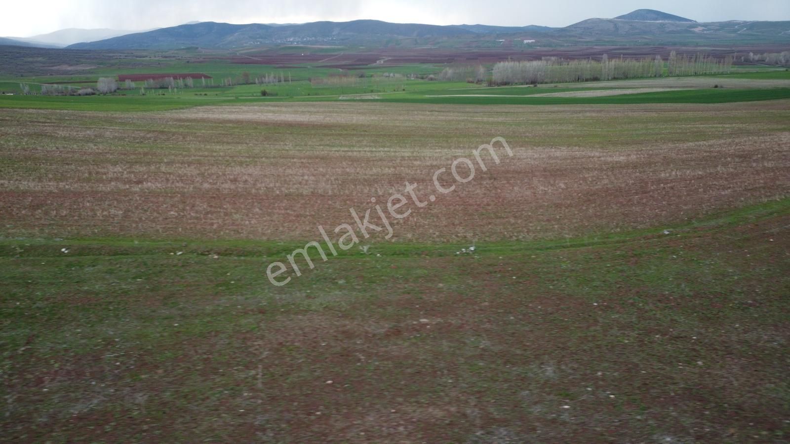 Tokat Kızık Köyünde Satılık Arazi - Görsel 18