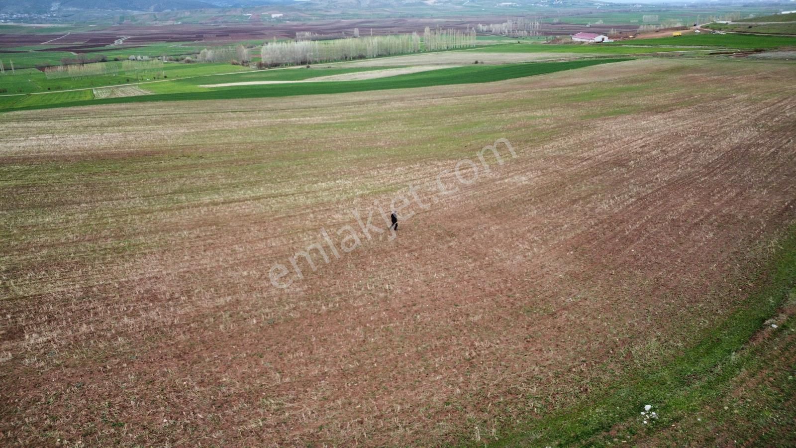 Tokat Kızık Köyünde Satılık Arazi - Görsel 5