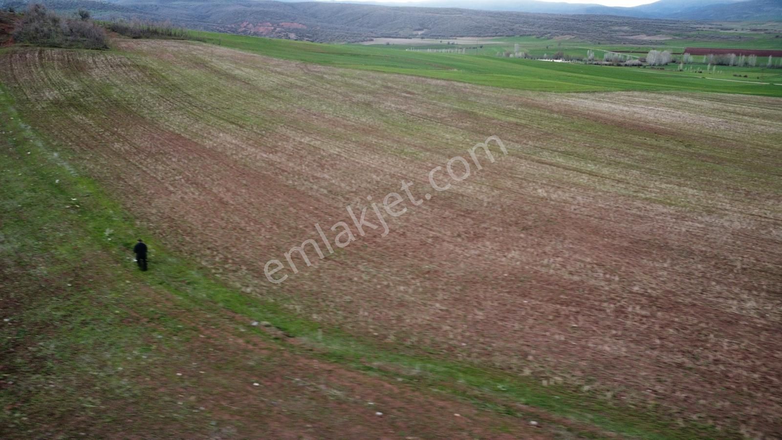 Tokat Kızık Köyünde Satılık Arazi - Görsel 15