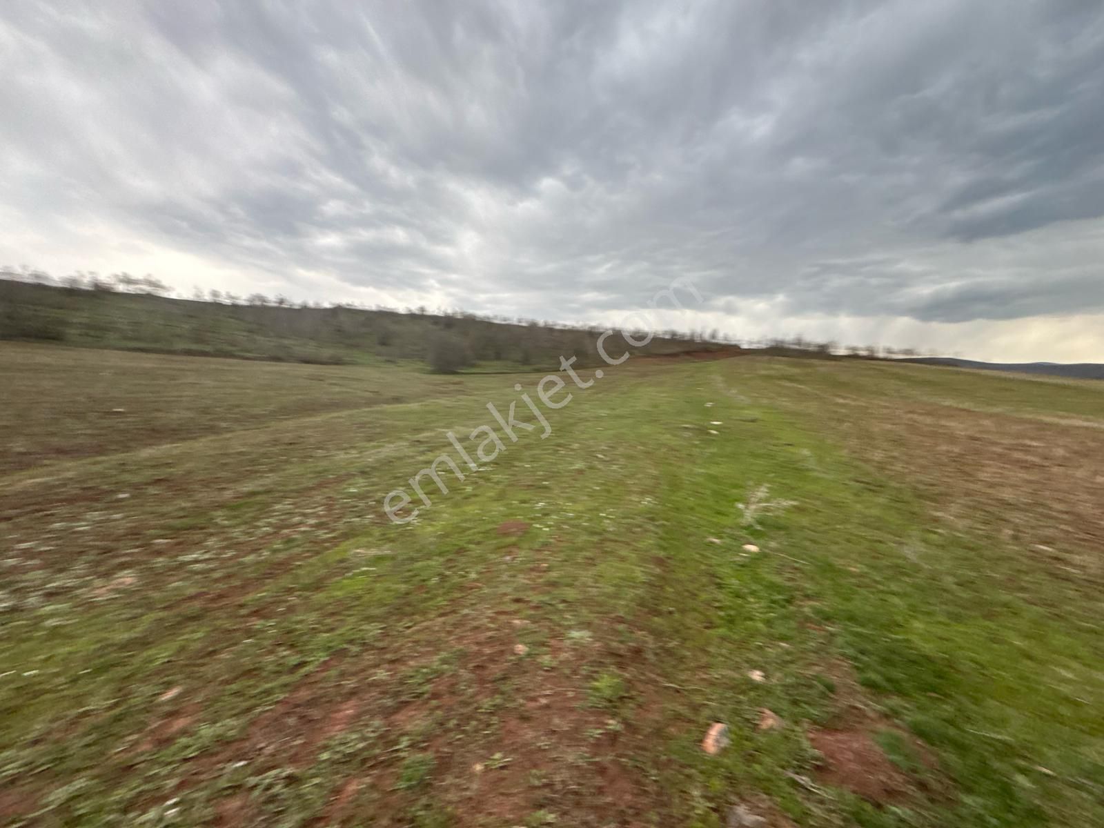 Tokat Kızık Köyünde Satılık Arazi - Görsel 31