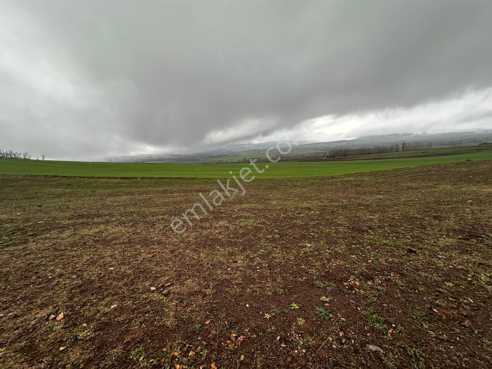 Tokat Kızık Köyünde Satılık Arazi - Görsel 8