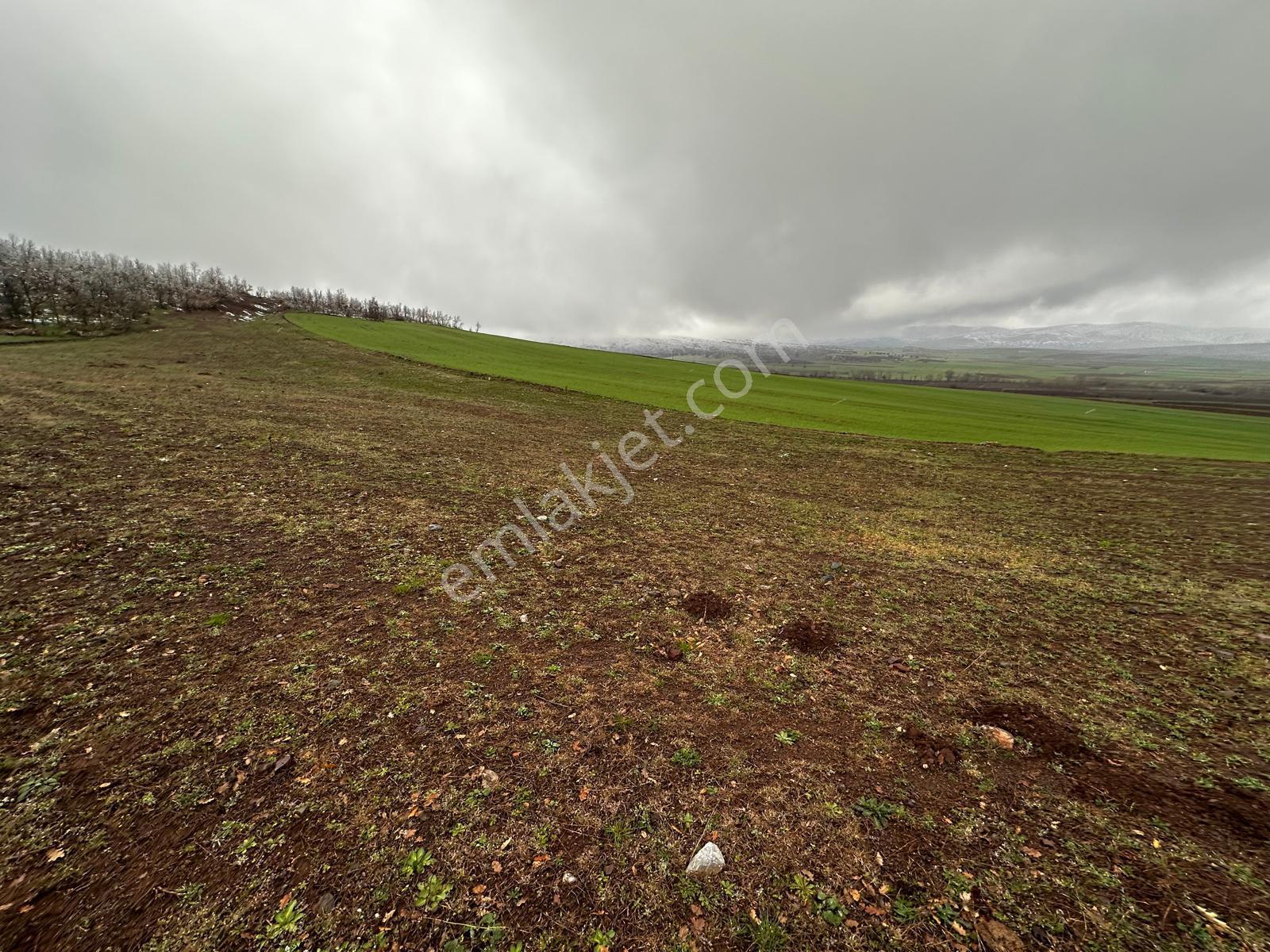 Tokat Kızık Köyünde Satılık Arazi - Görsel 24